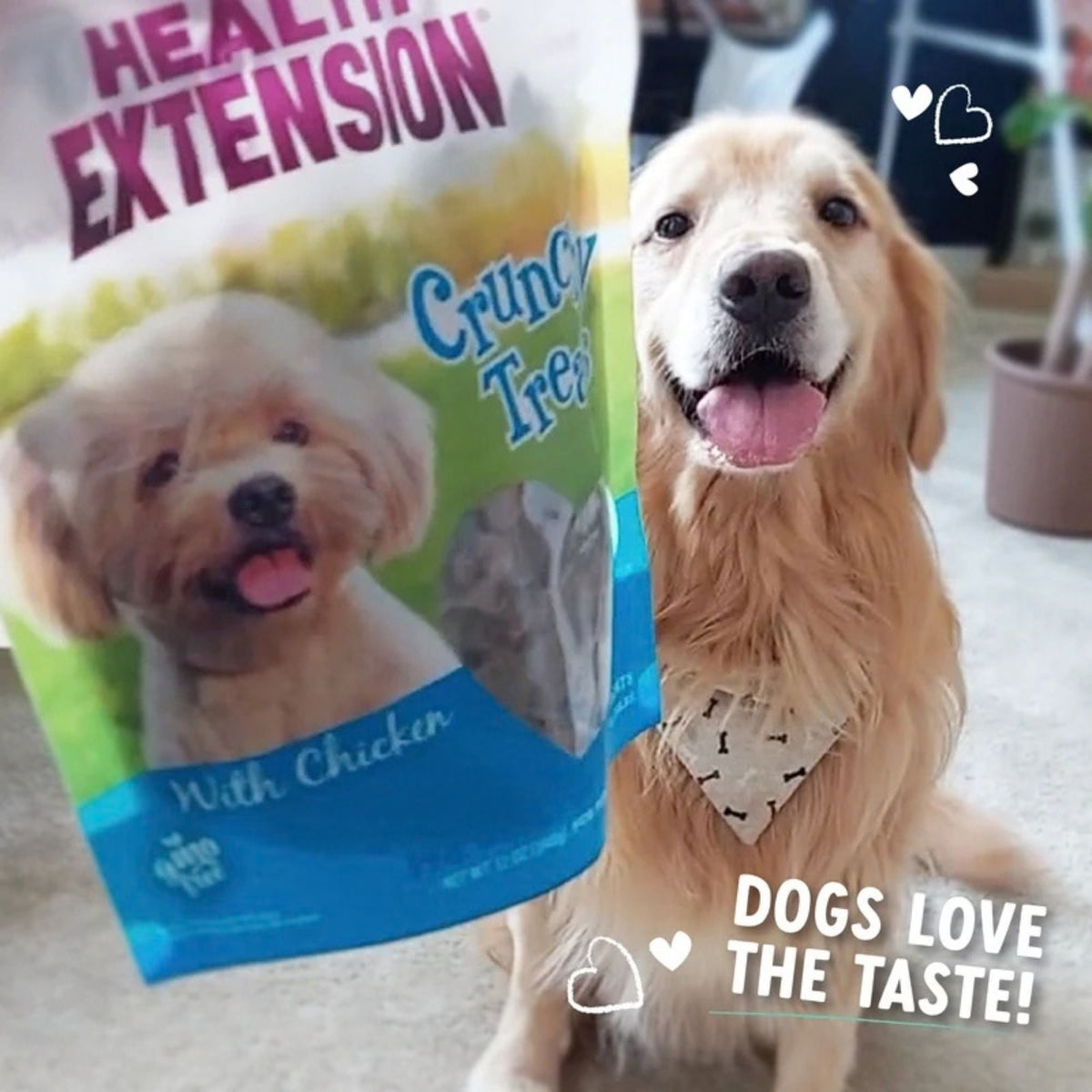 Health Extension Small Crunchy Dog Treats with Chicken 12oz.
