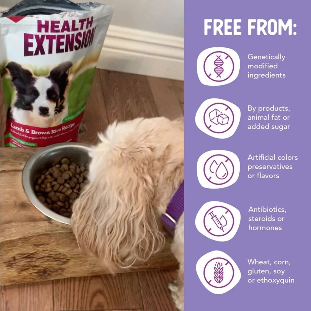 Health Extension Lamb & Brown Rice  4lb.
