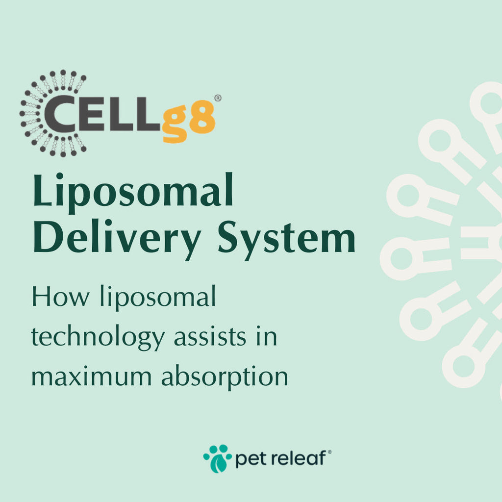 Pet Releaf Liposome Hemp Oil Cbd 600Mg