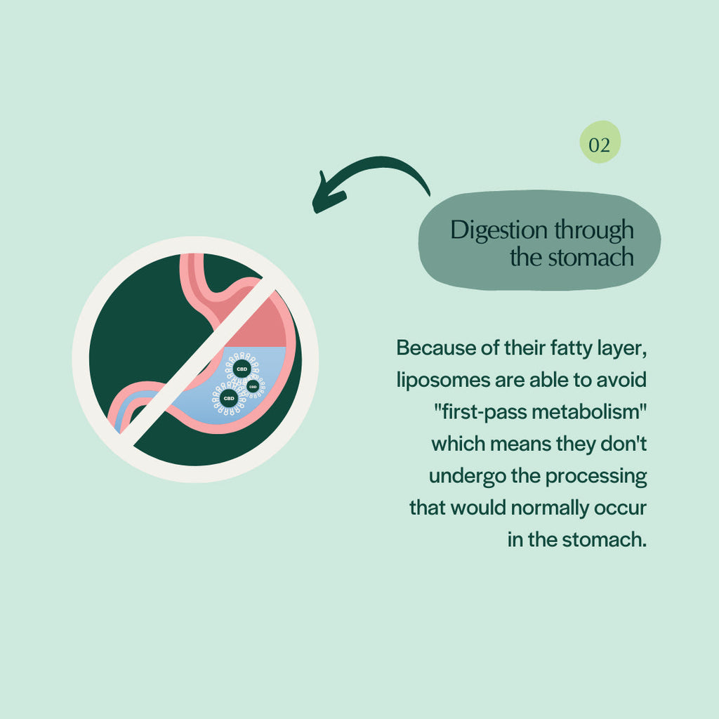 Pet Releaf Liposome Hemp Oil Cbd 600Mg