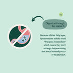 Pet Releaf Liposome Hemp Oil Cbd 600Mg