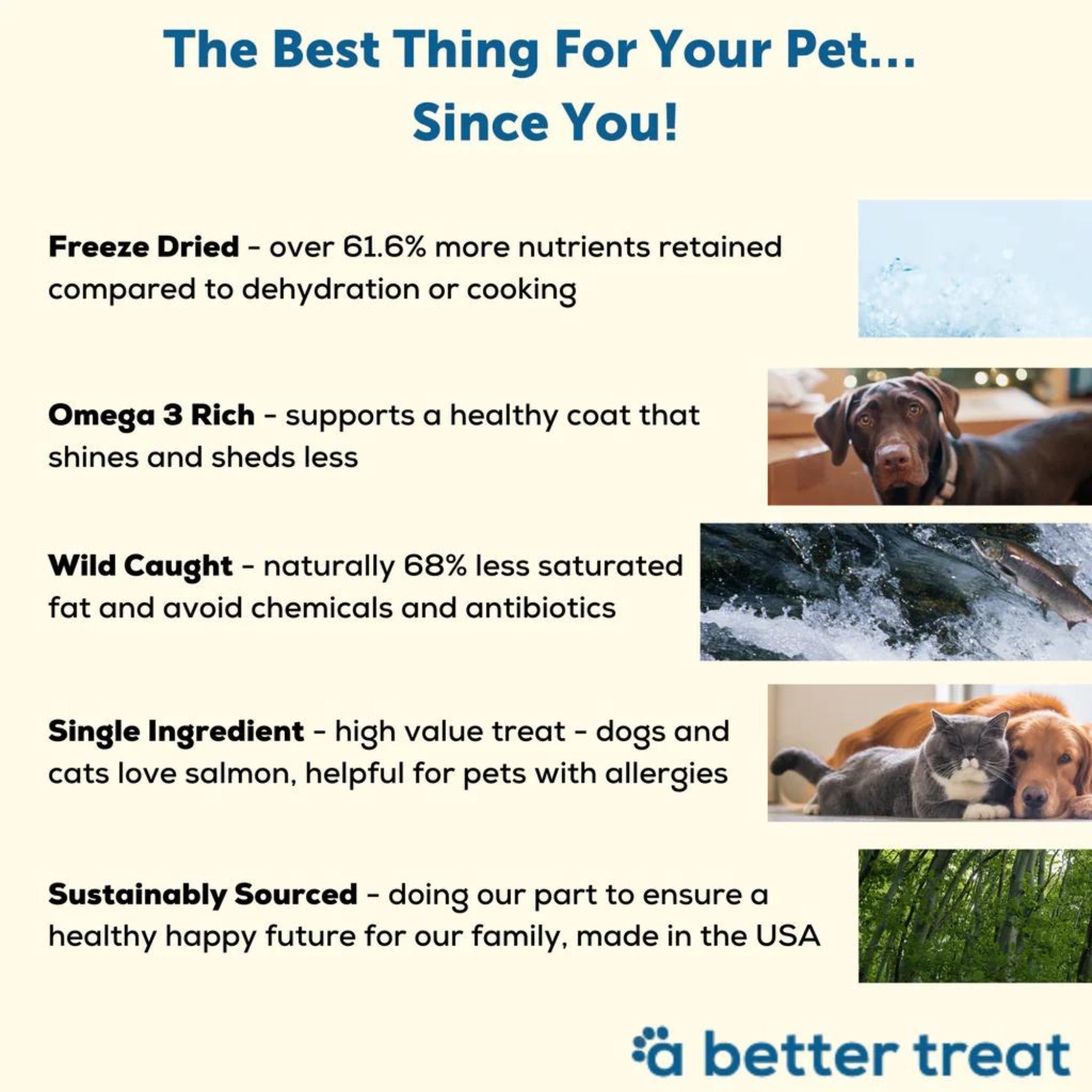 A Better Treat Just One Thing Freeze Dried Dog and Cat Treats Wild Caught Salmon 3oz. (Case of 6)  2 case minimum