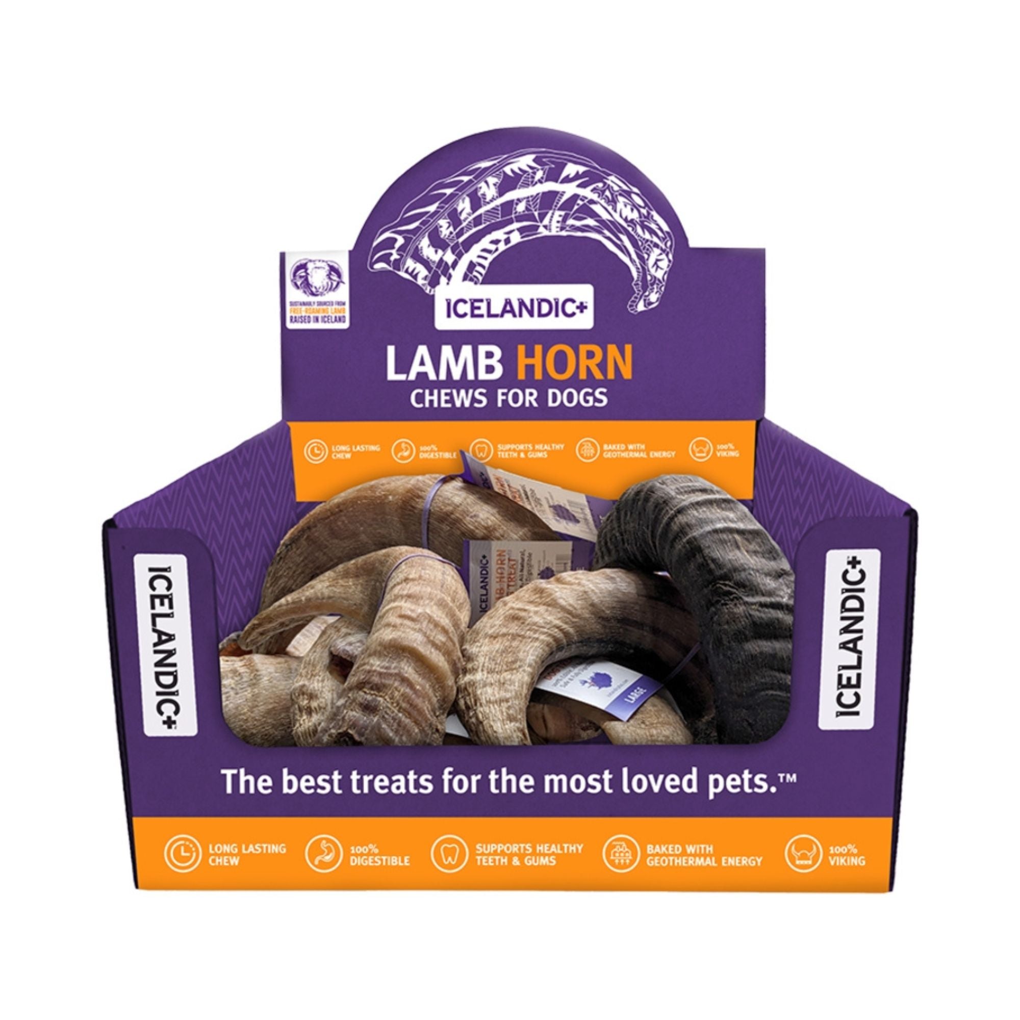 Icelandic+ Lamb Horn - 12-Piece Display Loose (Sized Approx. 6.5-7In)