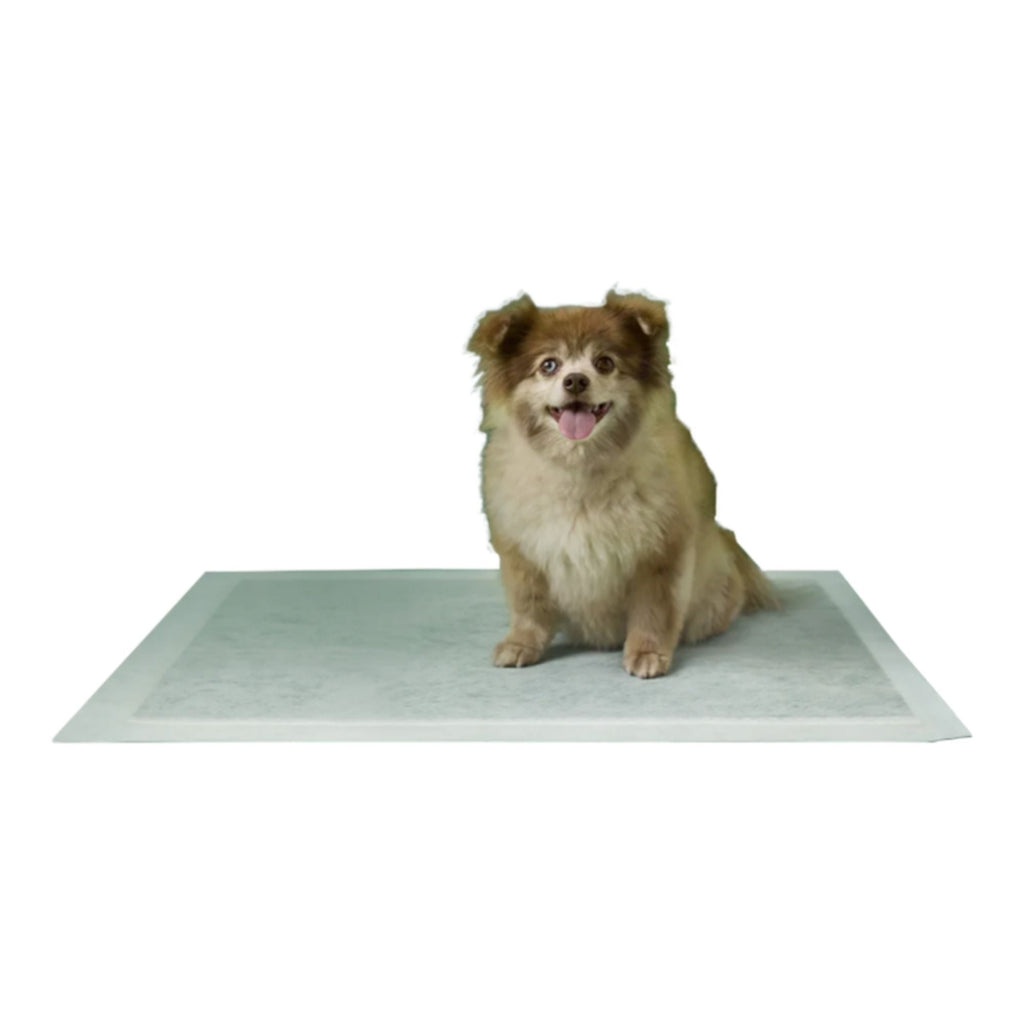 Earth Rated Dog Max Absorbency Puppy Pee Pads Large 22” X 23” - 7 Count