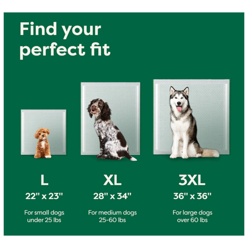 Earth Rated Dog Max Absorbency Puppy Pee Pads Extra Large 28” X 34” - 25 Count