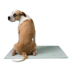 Earth Rated Dog Max Absorbency Puppy Pee Pads Xxxlarge 36” X 36” - 14 Count