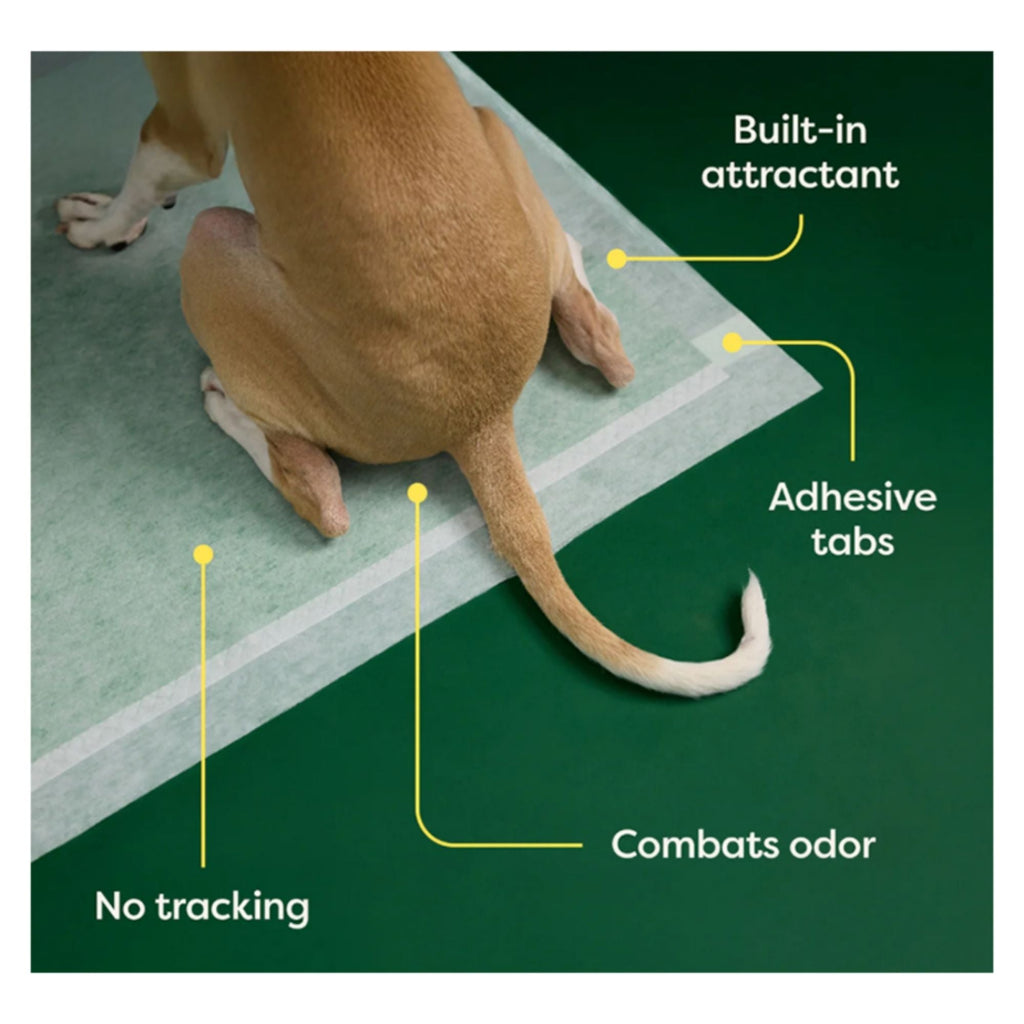 Earth Rated Dog Max Absorbency Puppy Pee Pads Xxxlarge 36” X 36” - 14 Count
