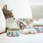 BFF Cat Batch O Besties Variety Pack 3oz. (Case of 12)