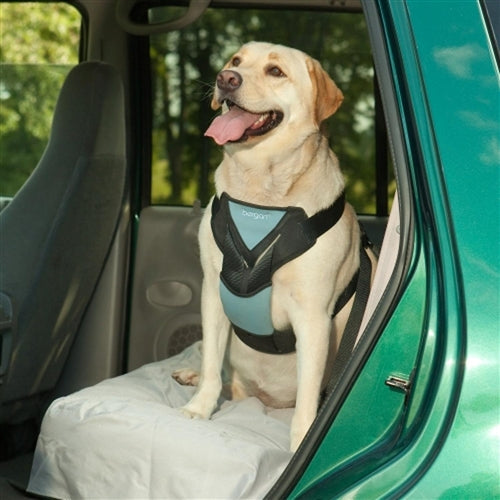 Bergan Dog Auto Harness Black And Blue X-Large