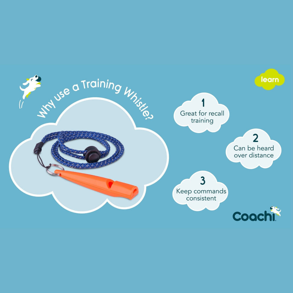 Coachi Training Whistle Navy