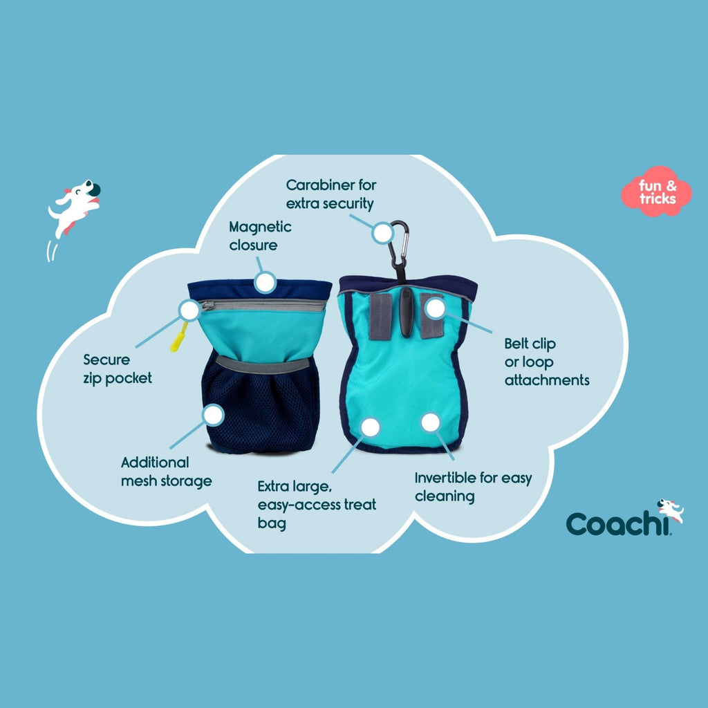 Coachi Pro Train & Treat Bag With Magnetic Closure Blue/Navy Jumbo Large