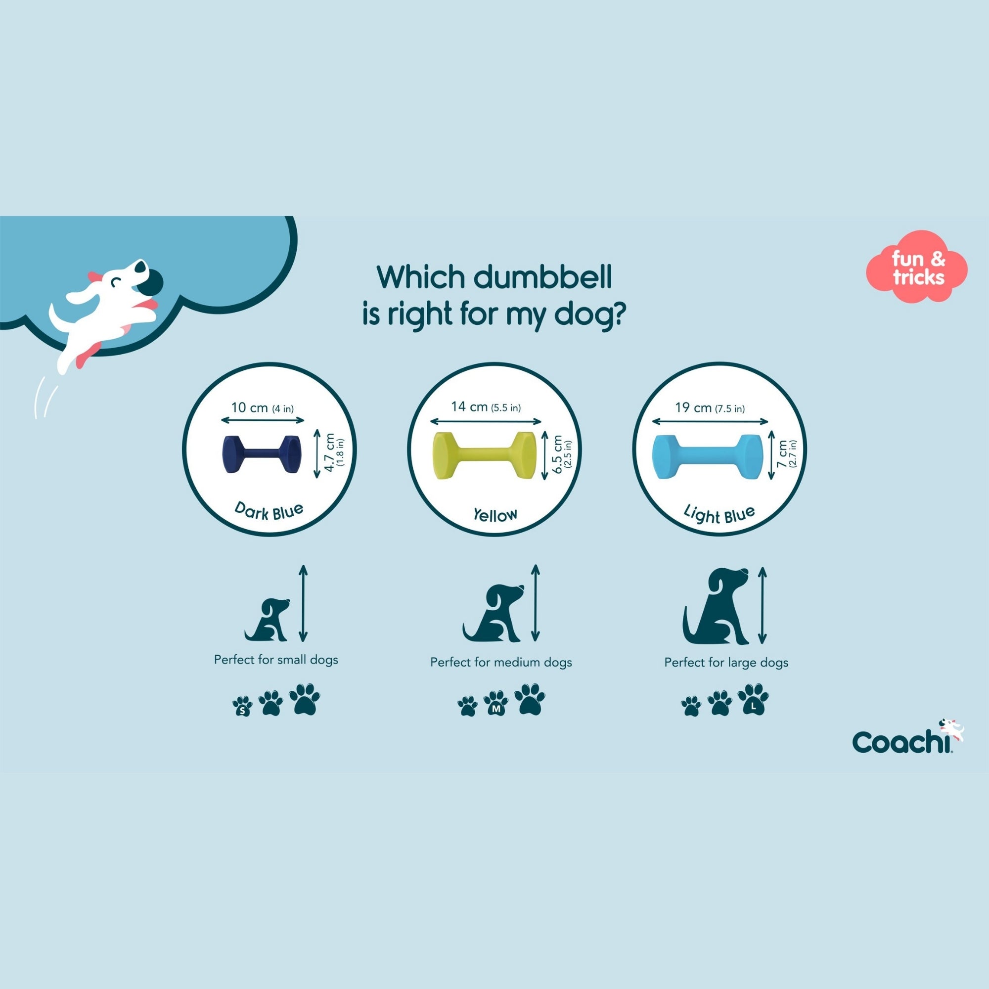 Coachi Train & Play Dumbbell Navy Small