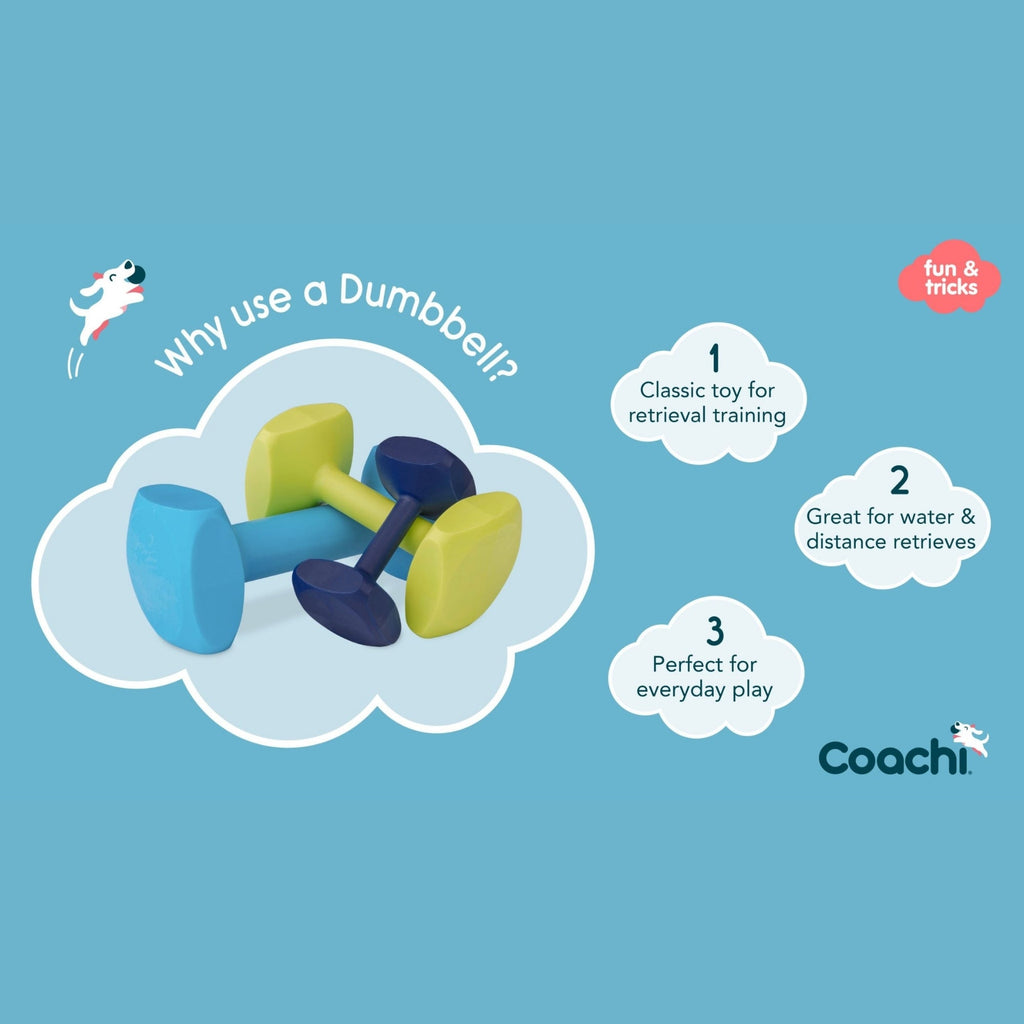 Coachi Train & Play Dumbbell Navy Small