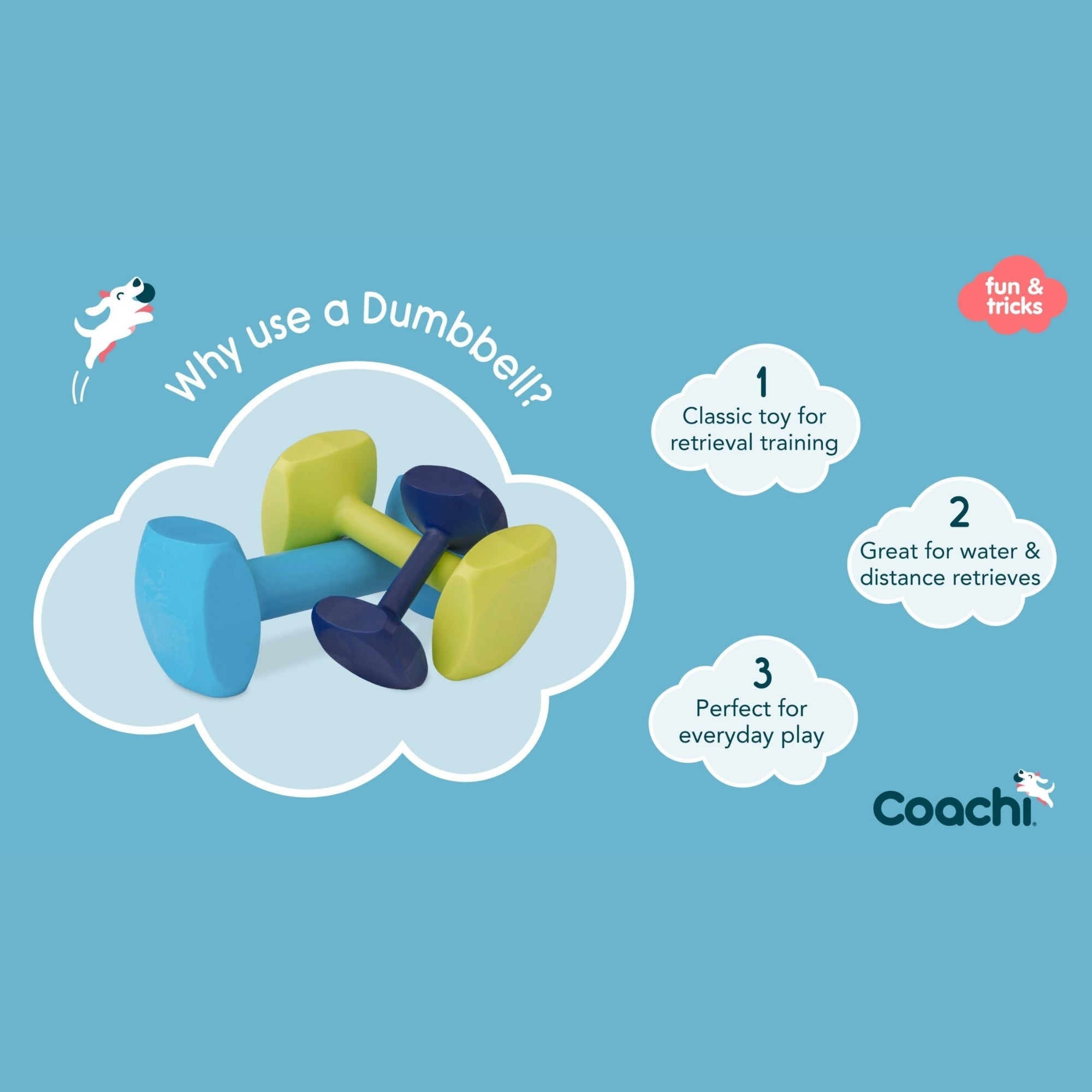 Coachi Train & Play Dumbbell Navy Small