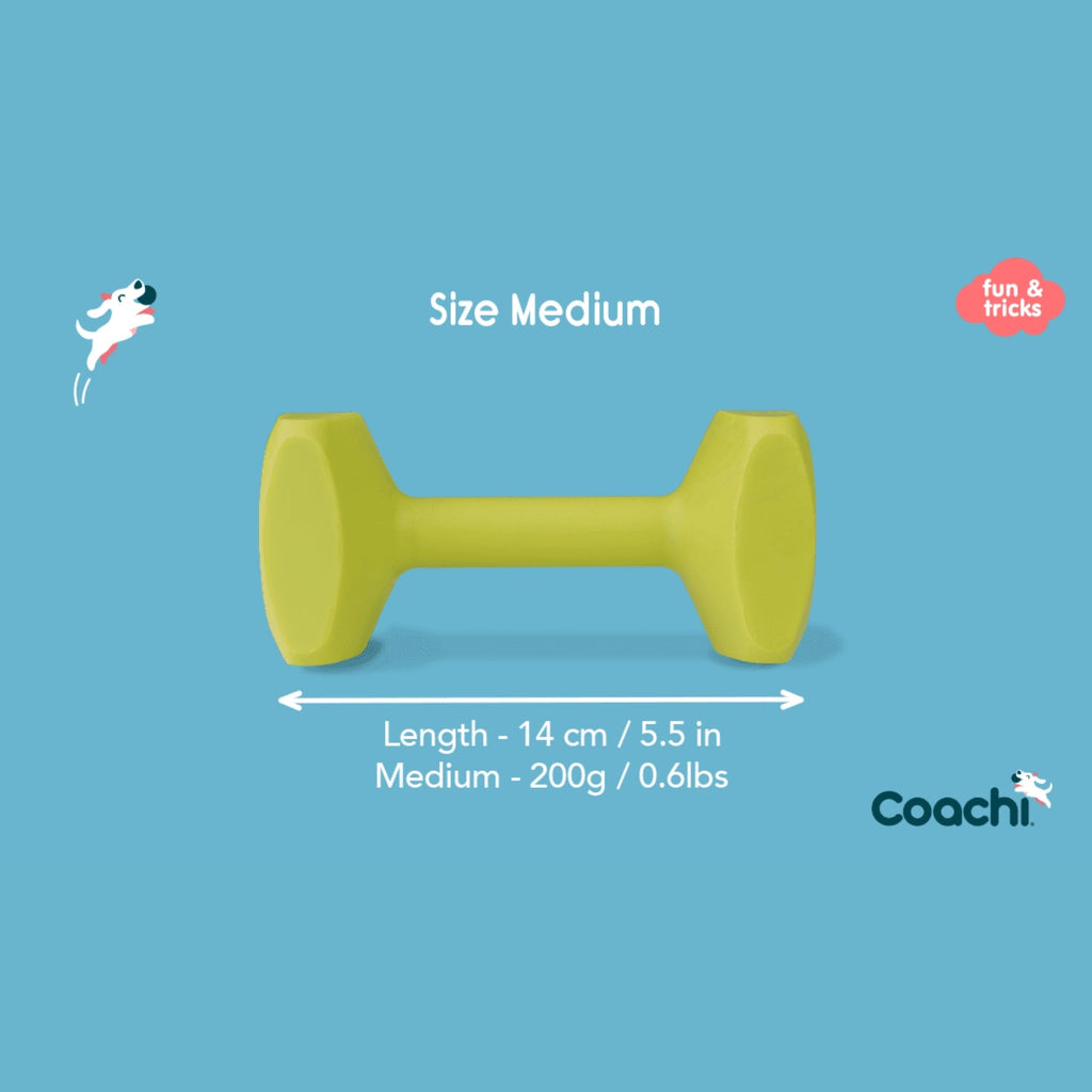 Coachi Train & Play Dumbbell Lime Green Medium