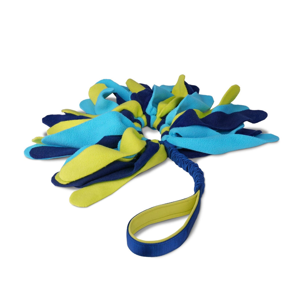 Coachi Tuggi Elastic Spider Super Tough Tug Toy Lime/Navy Large