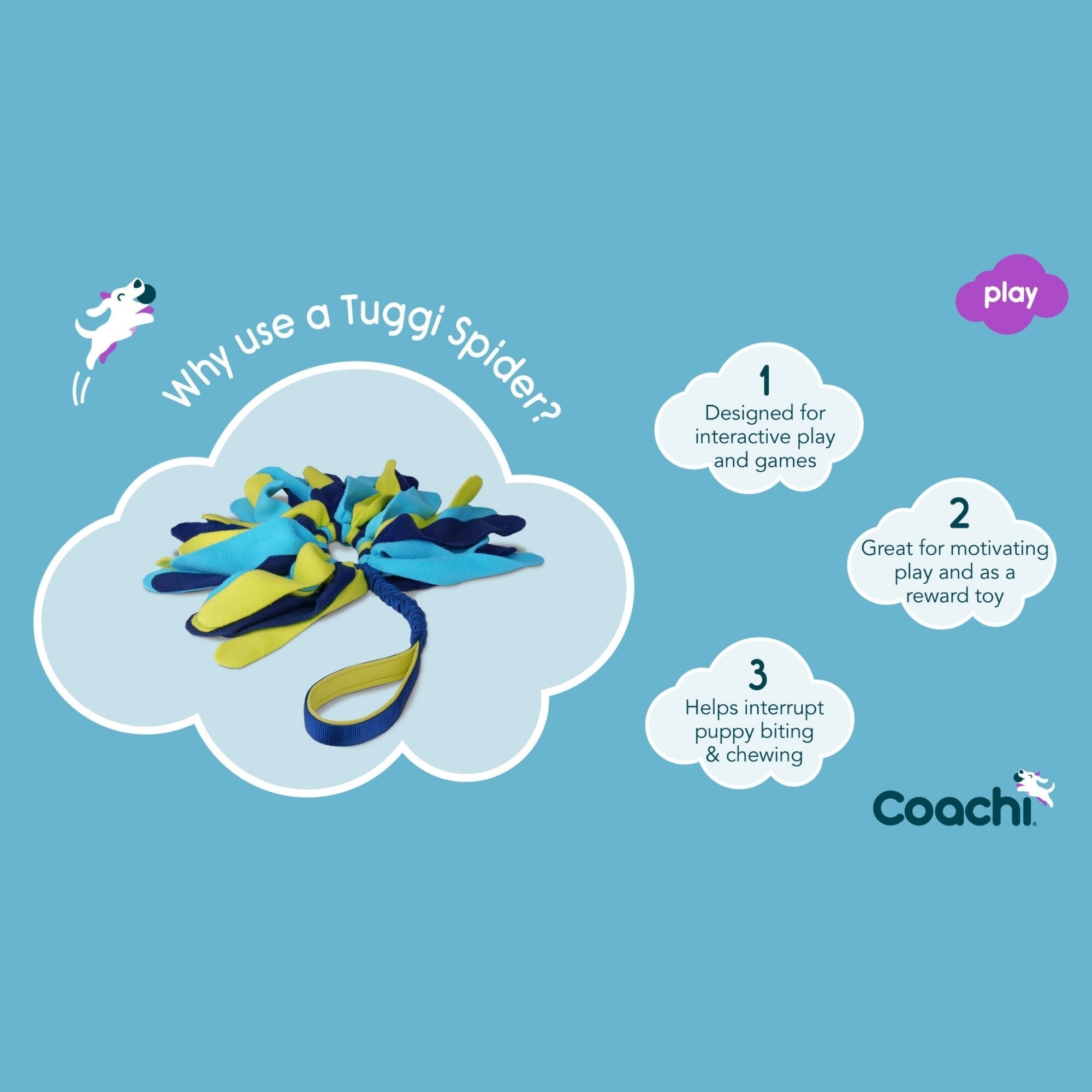 Coachi Tuggi Elastic Spider Super Tough Tug Toy Lime/Navy Large