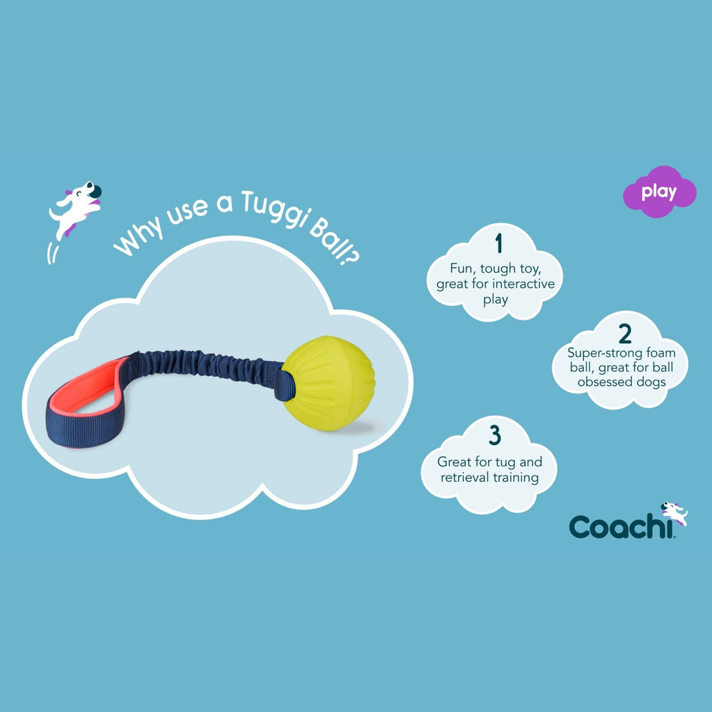 Coachi Tuggi Elastic Ball Super Tough Tug Toy Coral/Navy Large