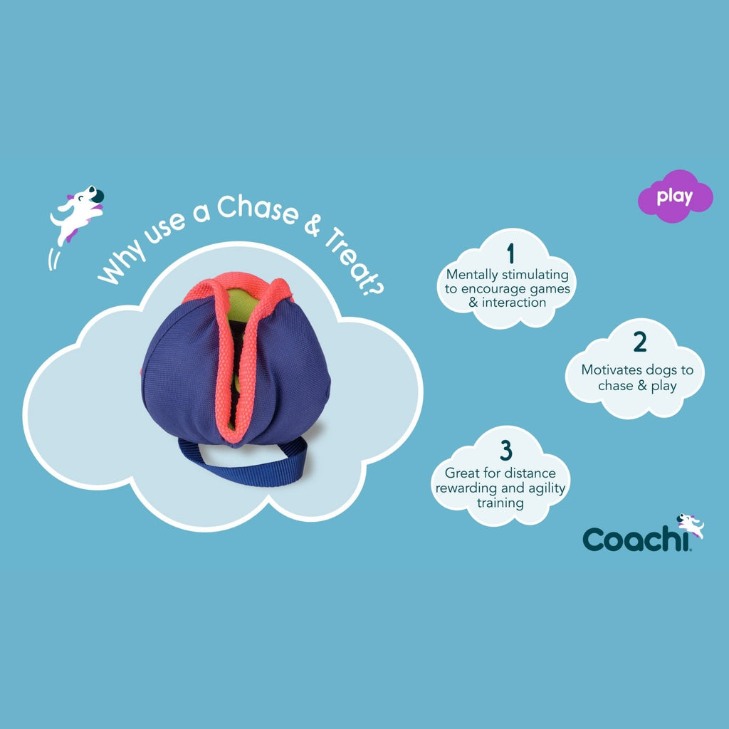 Coachi Chase & Treat Ball Throw And Fetch Coral/Navy Medium