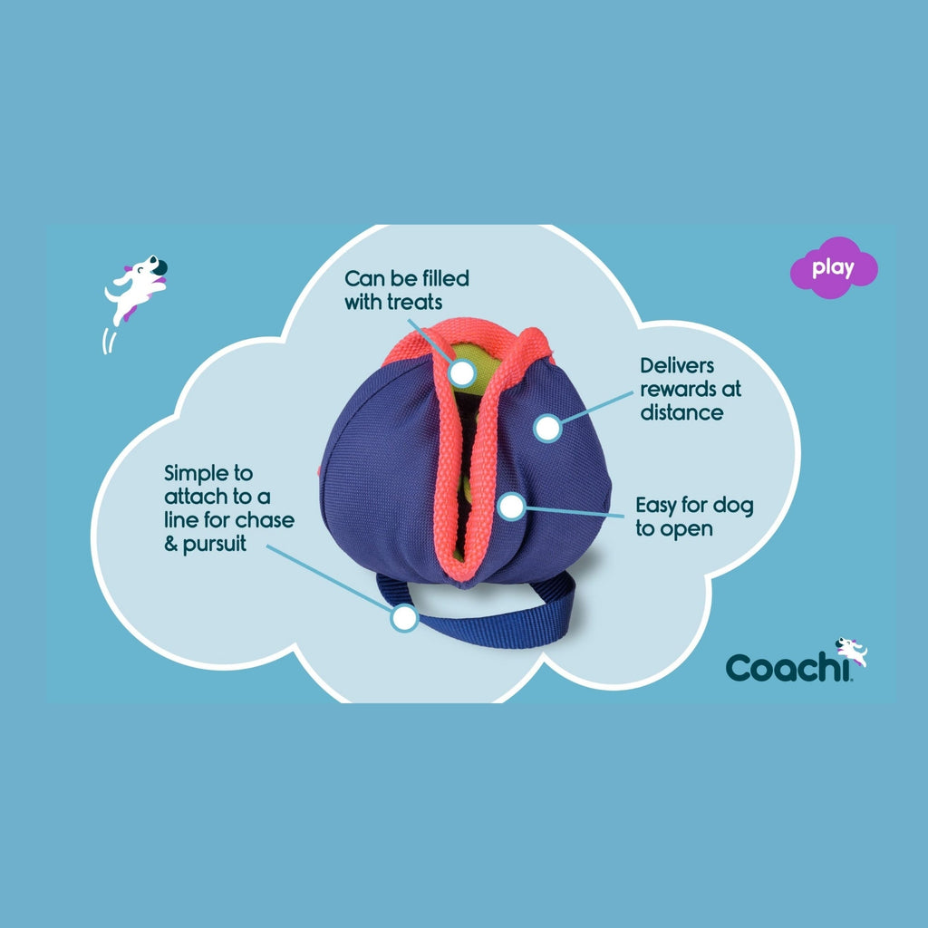 Coachi Chase & Treat Ball Throw And Fetch Coral/Navy Medium