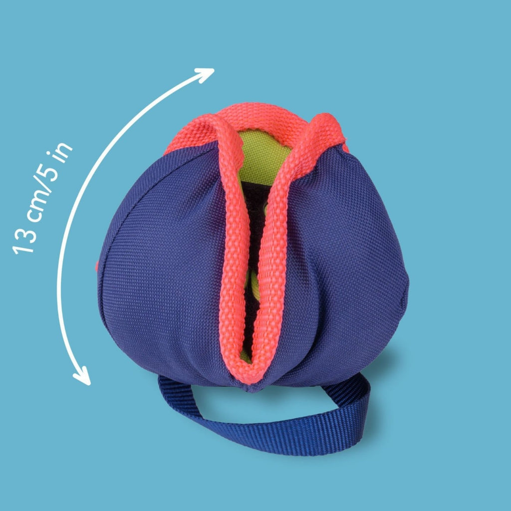 Coachi Chase & Treat Ball Throw And Fetch Coral/Navy Medium