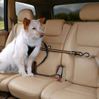 Kurgo Dog Auto Zip Line Leash Black