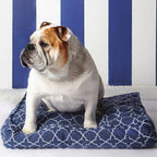 Molly Mutts Dog Duvet Romeo Juliet Medium/Large 30-70lbs. 27" x 36" 5"