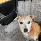 Molly Mutts Dog Cat Car Seat Cover River