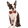 Rubies Halloween Argyle Bowtie S-M
