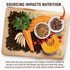 Earth Animal Dog Wisdom Air-Dried From The Soil 8Lb