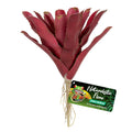 Zoo Med Naturalistic Flora Chestnut Bromeliad Terrarium Plant Purple, Tan