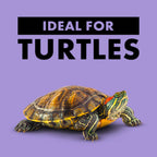 Zilla Basking Platform Ramps Corner, 1ea/SMall