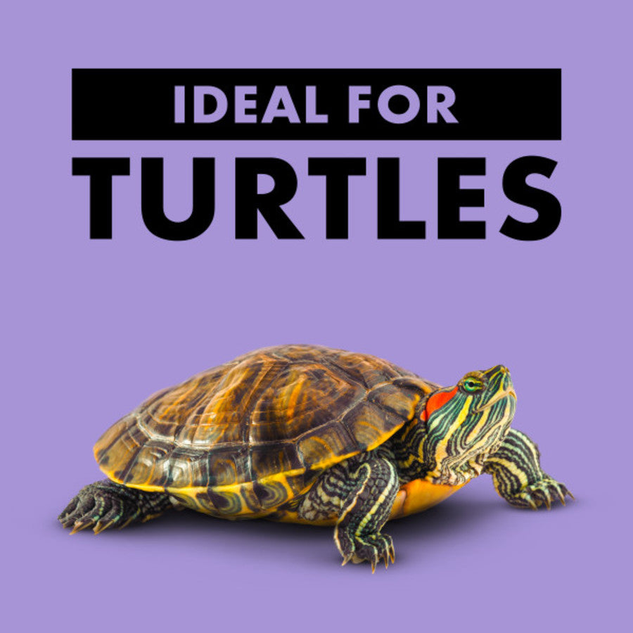 Zilla Basking Platform Ramps Corner, 1ea/SMall