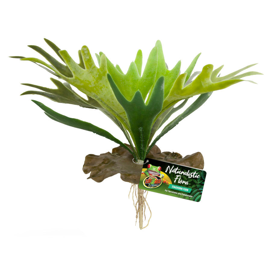 Zoo Med Naturalistic Flora Staghorn Fern Terrarium Plant Green, Brown, 1ea