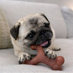 Nylabone Strong Chew Wishbone Dog Chew Toy Made with Real Bacon, Small (1 ct)